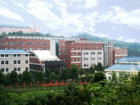 校考 | 四川文化艺术学院2019年省外艺术类专业考试大纲