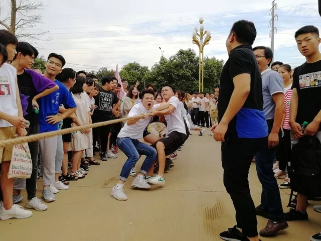 拔河大比拼 | 团结一致 势如破竹